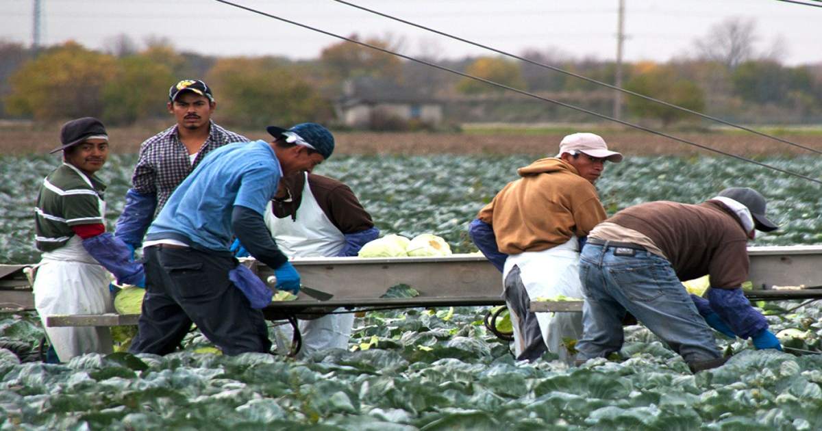 EE.UU. – Una vía de avance para diseñar mejores políticas migratorias en la era de la covid-19