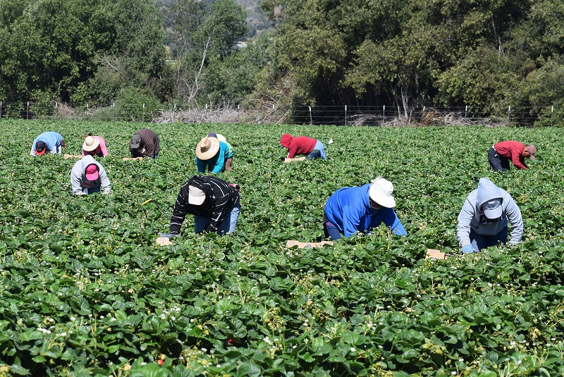 Africa – Ricostruire meglio: Promuovere la sovranità in ambito alimentare, sradicare la povertà e rafforzare la giustizia sociale per il recupero post-COVID-19 in Africa