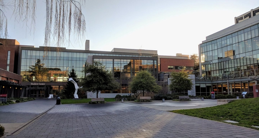 USA – L’Université de Seattle obtient la note d’or de STARS pour sa durabilité