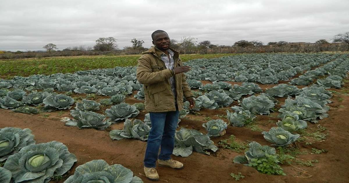 África – En África, los agricultores aprenden nuevos métodos para hacer frente a sequías e inundaciones