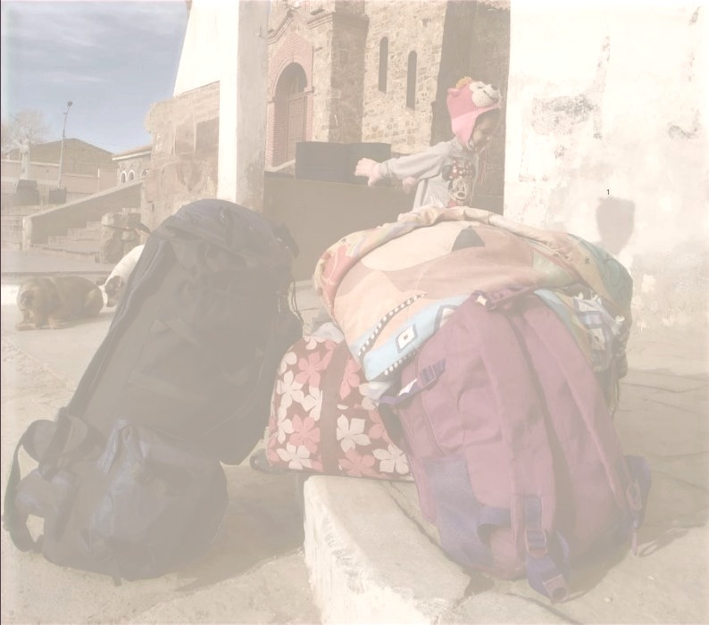 Argentina – Argentine Borders : Vulnerability and Protection in Times of Covid