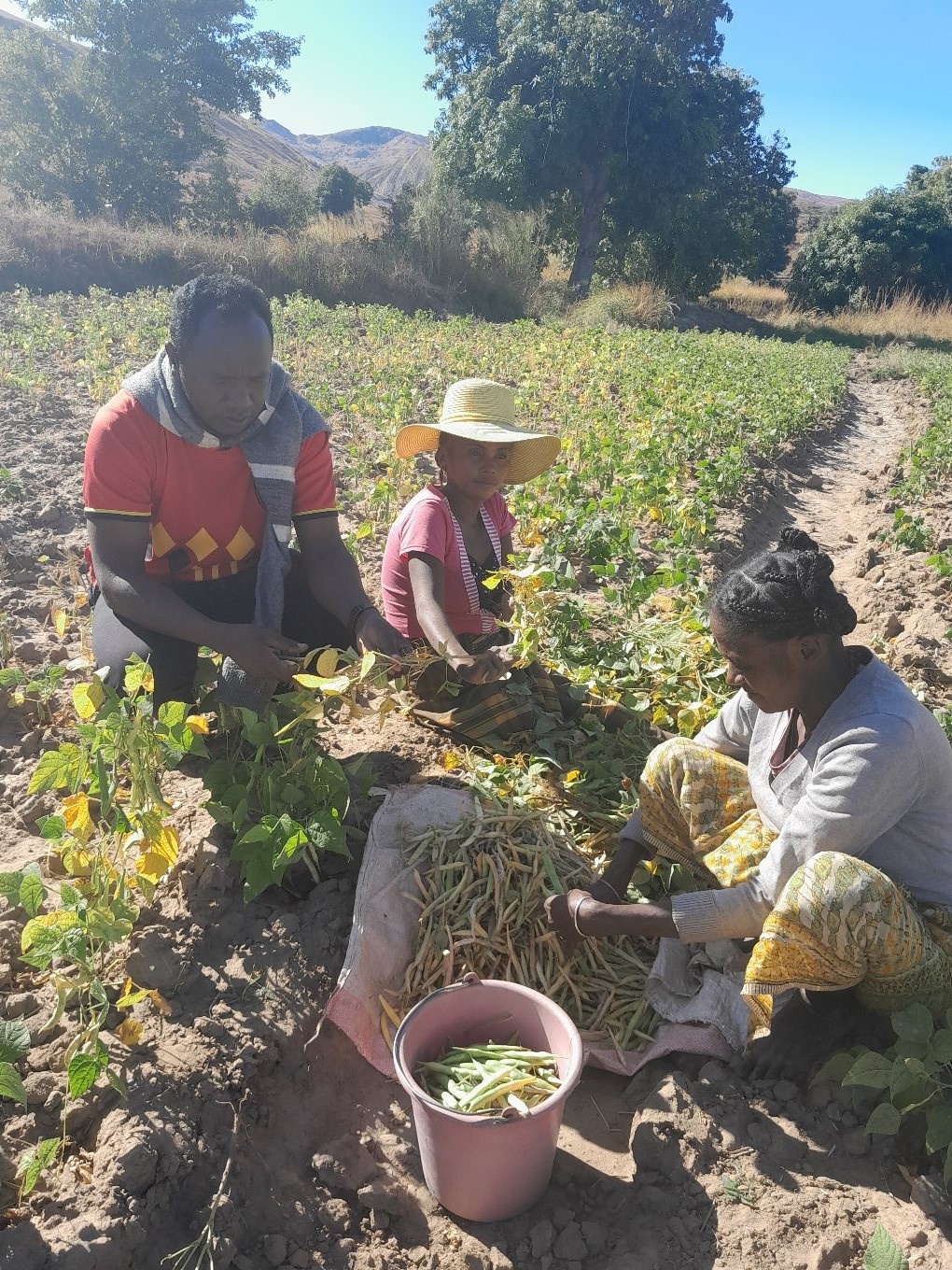 Seguridad alimentaria y su importancia en la continuidad escolar en Madagascar