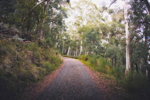 Australie – Vision spirituelle profonde