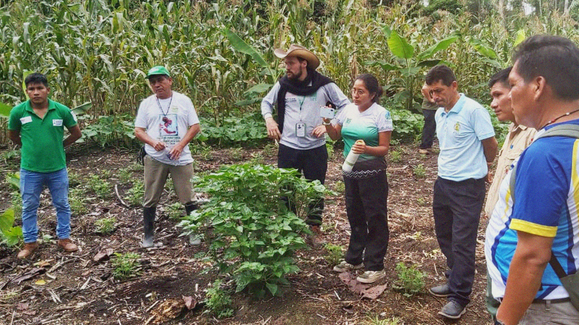 America Latina – Scuola di formazione in agroecologia a Condorcanqui, Amazzonia, Perù