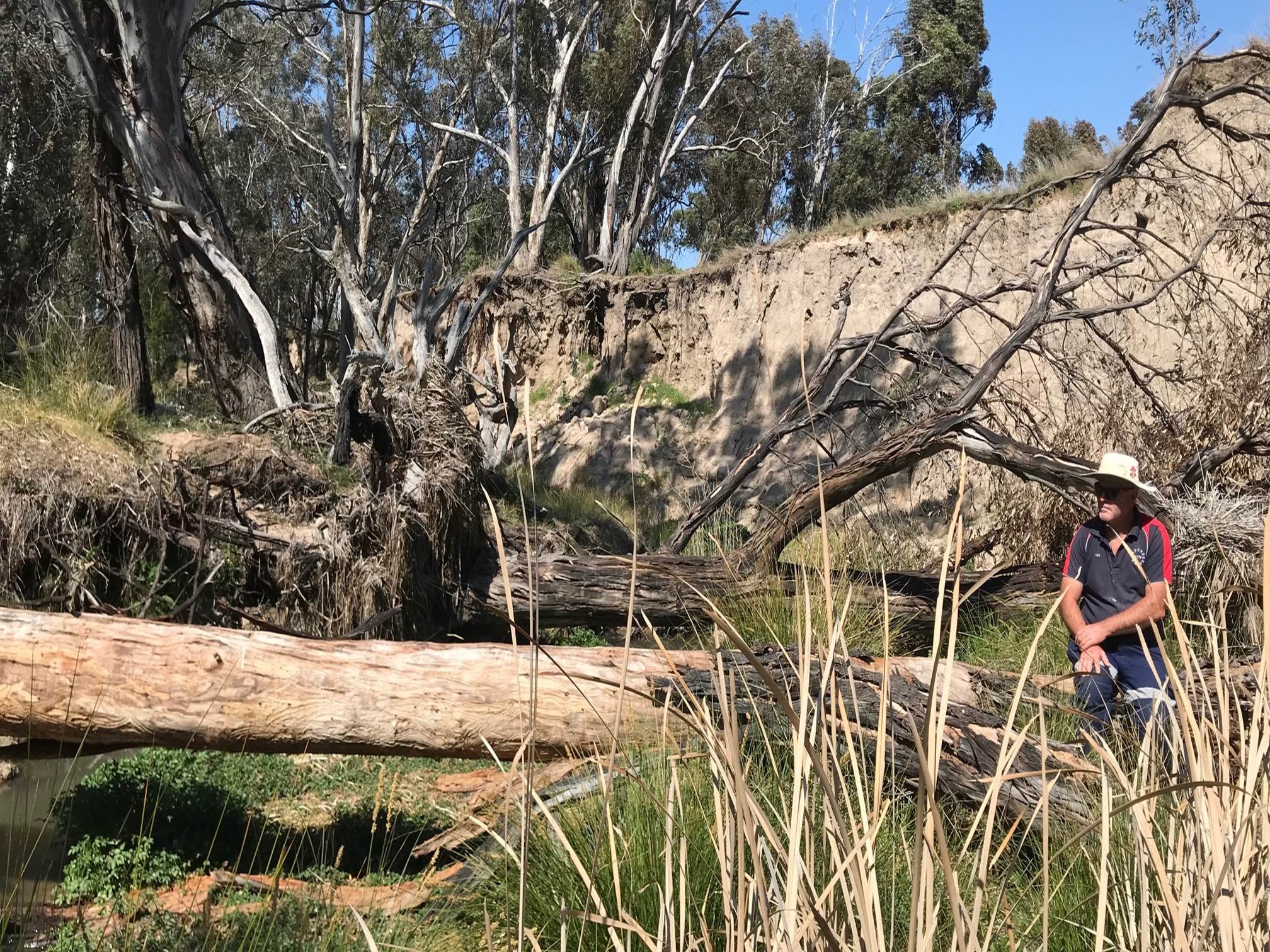 Eugowra creek
