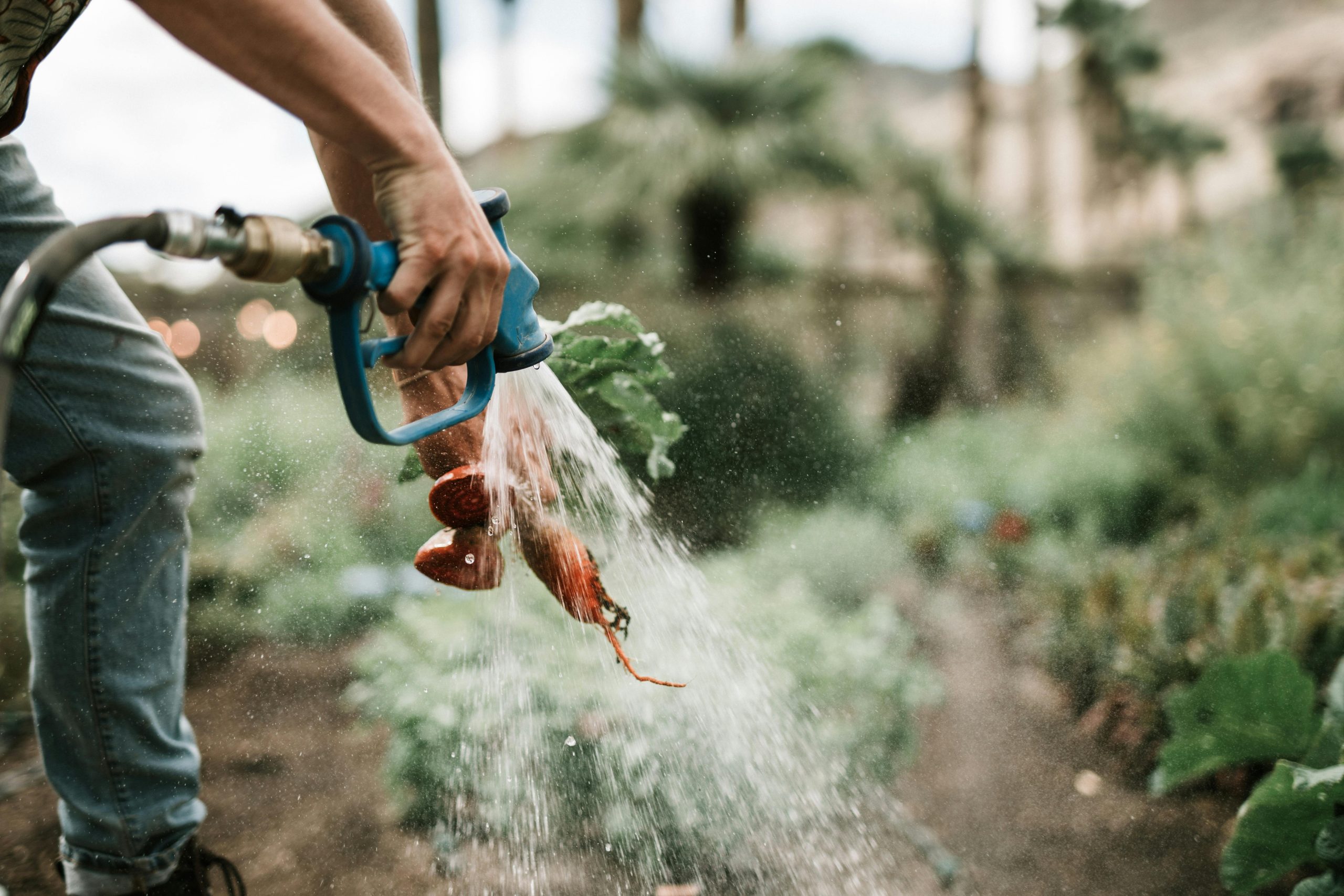 pexels-taryn-elliott-3889959