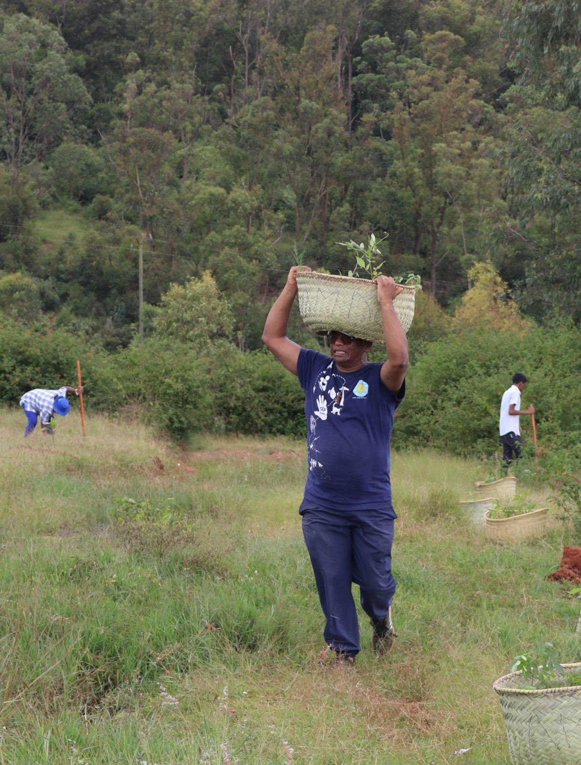 FROM NDC1 to NDC3: Lessons, ambitions, and the road to resilience for Madagascar