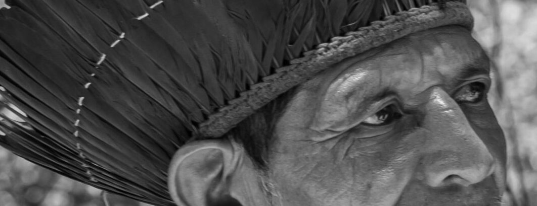 pexels-joelalencar-21320681