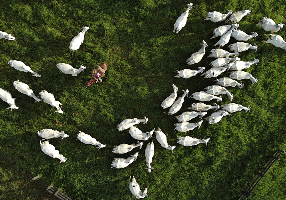 Lenten campaign calls for ecological conversion in Brazil