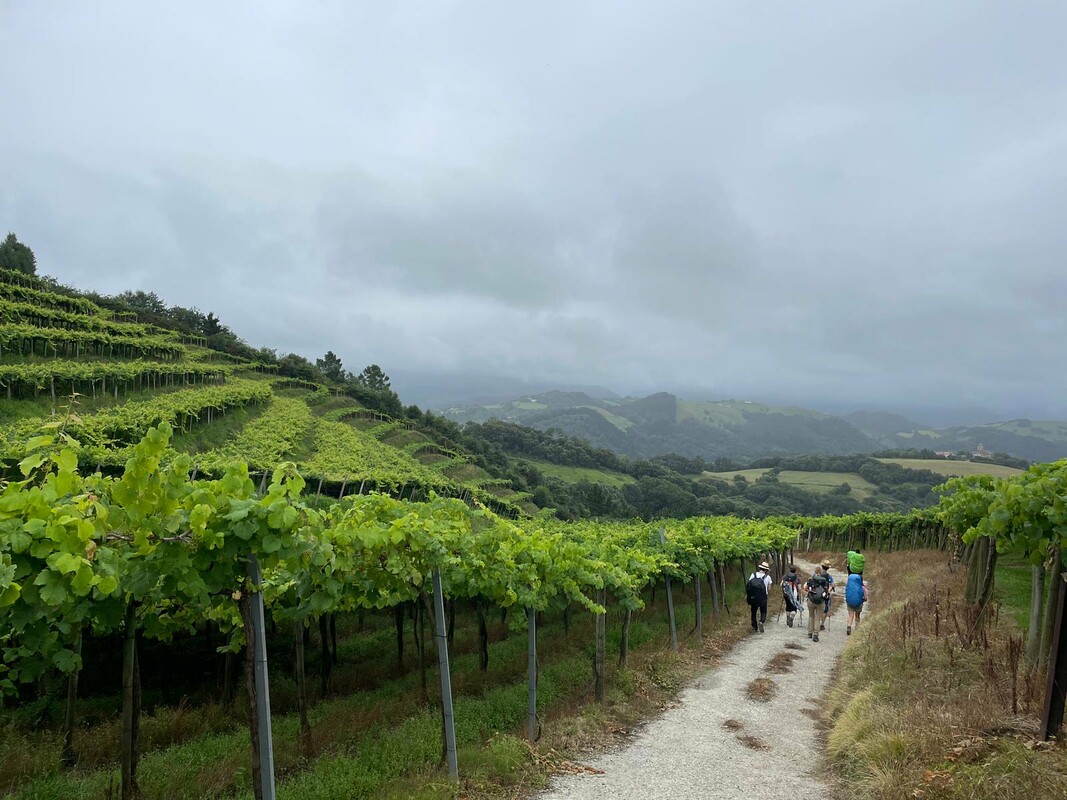 Guide de prière mensuel – Laudato Si’ Movement