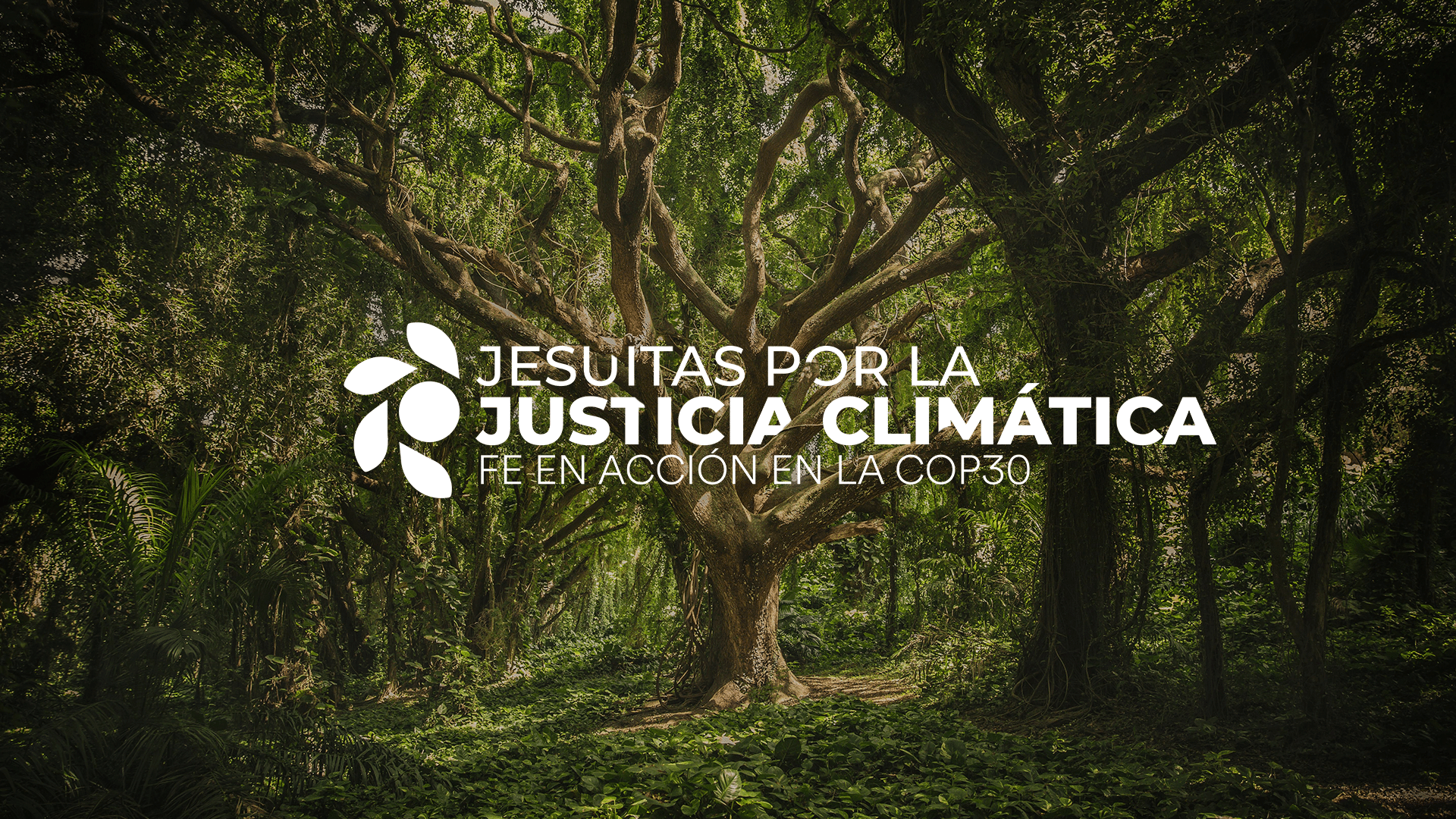Jesuitas por la Justicia Climática Campaña SB62 y COP30