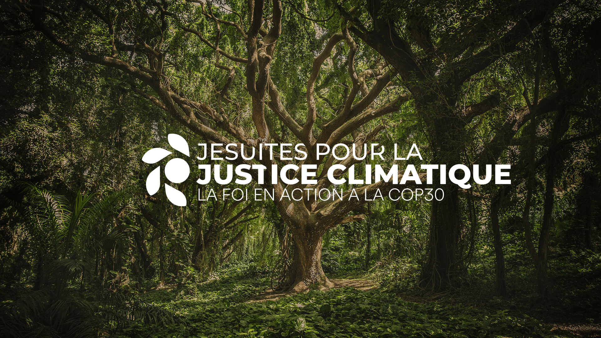 Jésuites pour la Justice Climatique Campagne SB62 et COP30