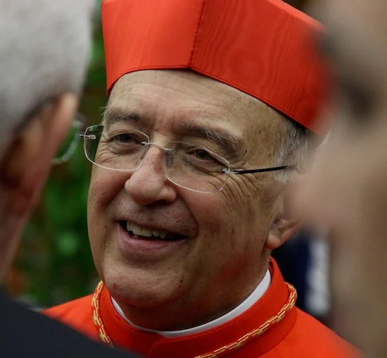 Peruvian cardinal urges support for Indigenous people, climate justice