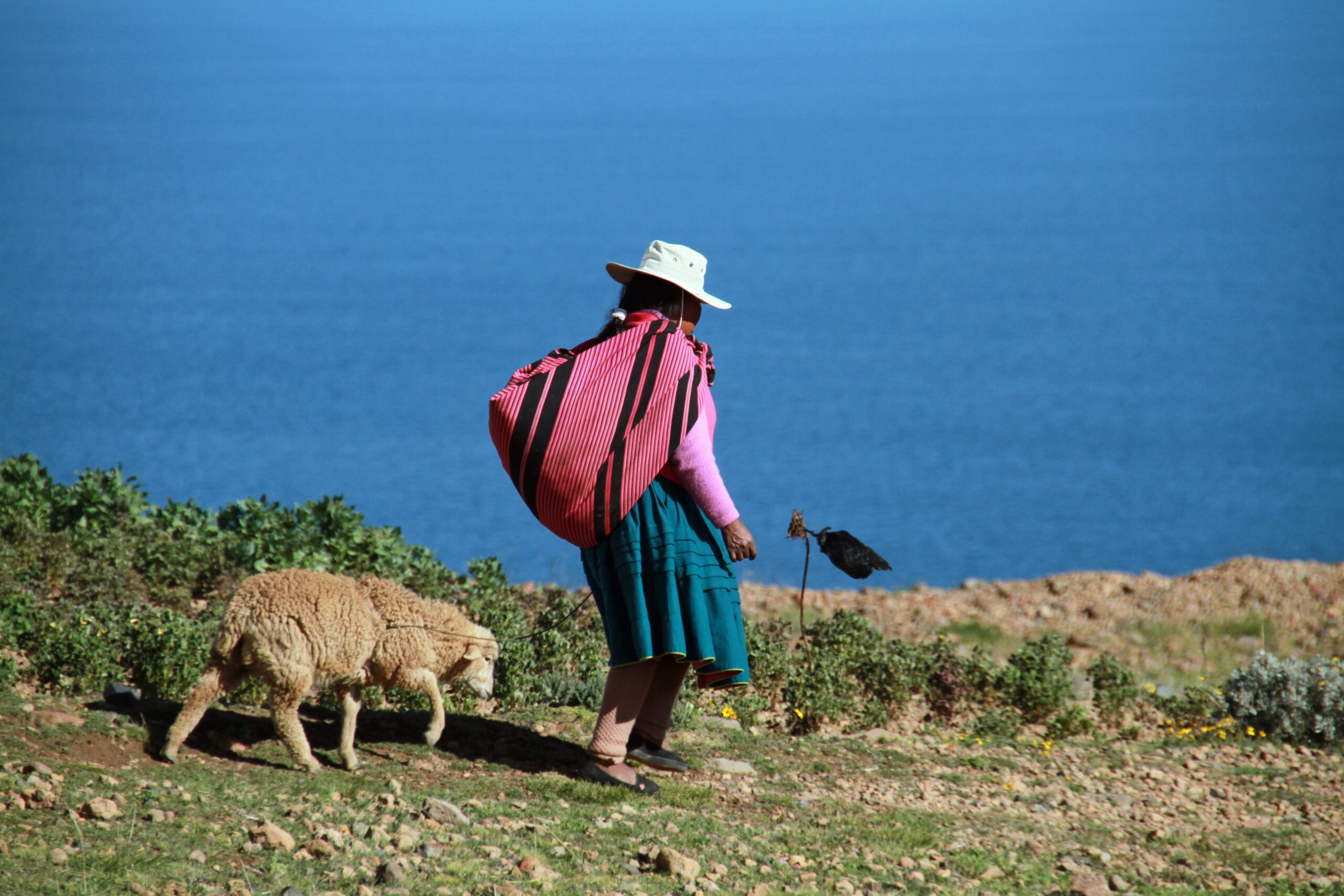 Uplifting rural communities, together.