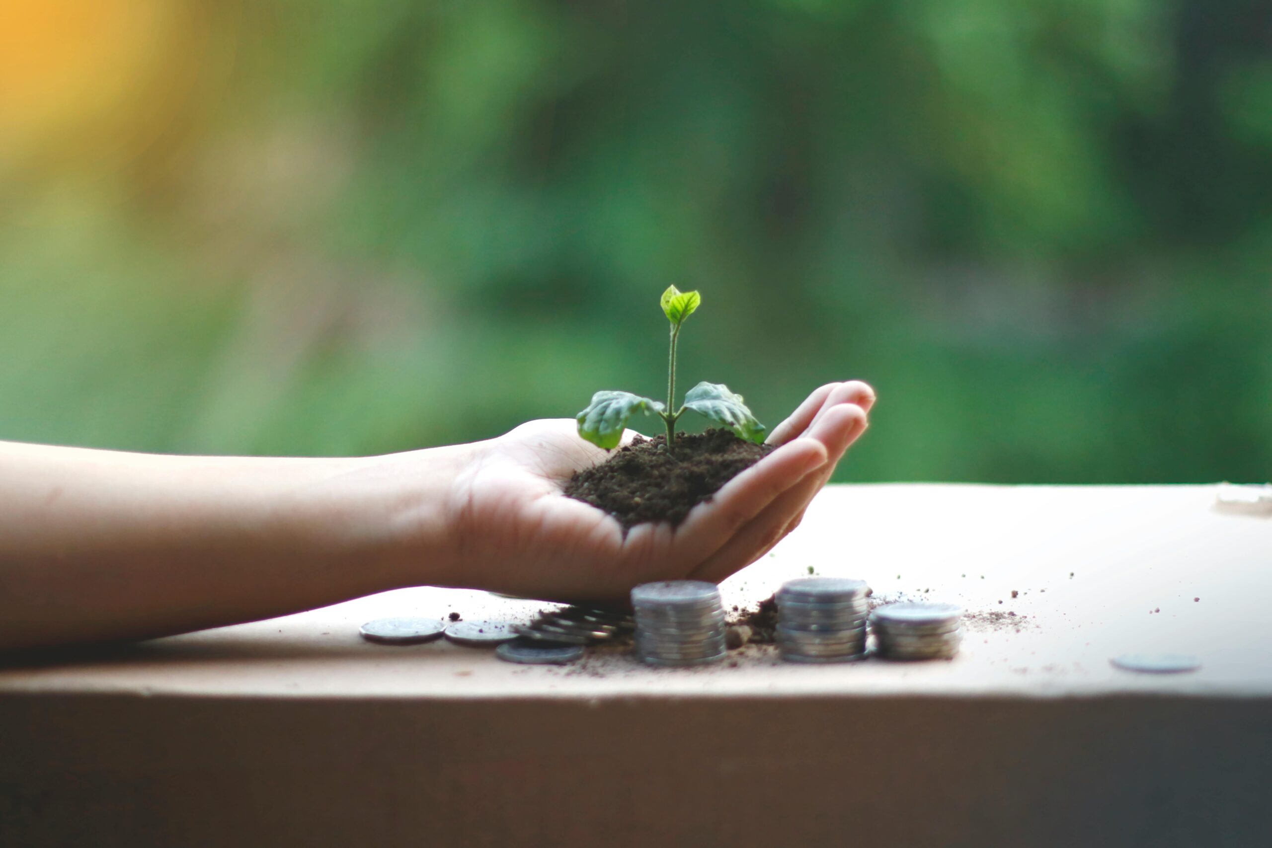 Webinar “Advancing Sustainability in Jesuit Schools”