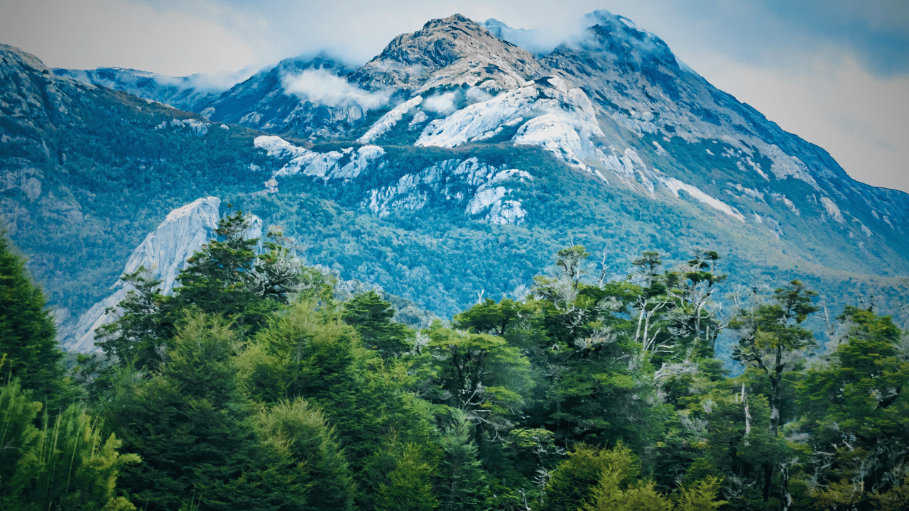 Defense, Culture, and Territory: News from Latin America