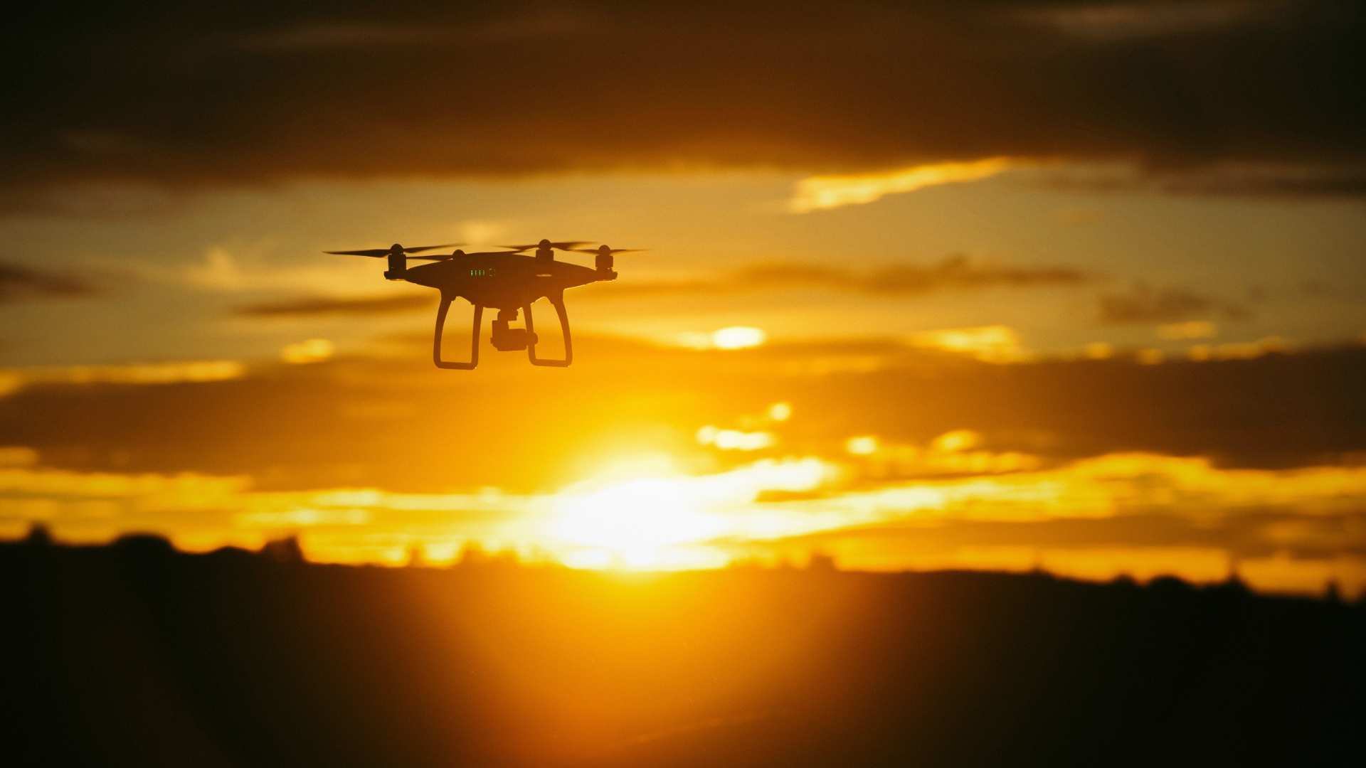Ndụbụisi, life is first: machine intelligence, the web of being and the heavens